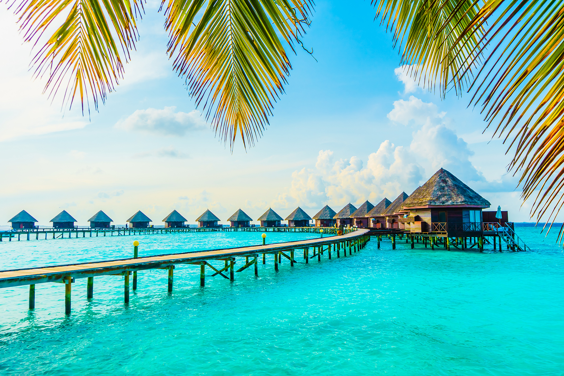 Journey Value-free With Particulars: Unbelievable Places Using Credit score Card Components
